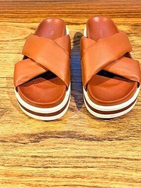 Frame Le Osborne Slide Sandal Women's Brown Platform Sandals